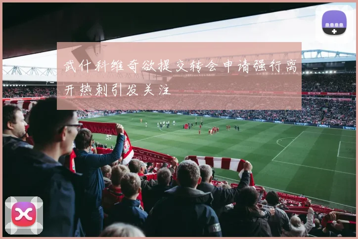 武什科维奇欲提交转会申请强行离开热刺引发关注